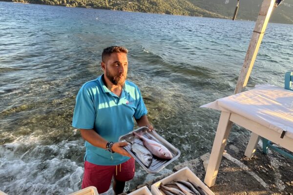 Frischer Fisch
